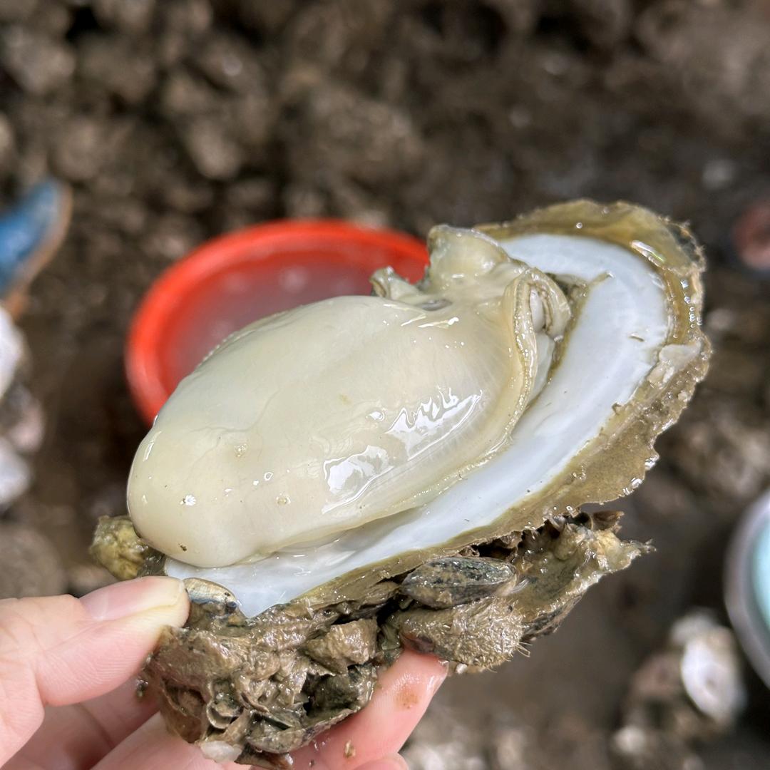 广海万佳濠水产集市