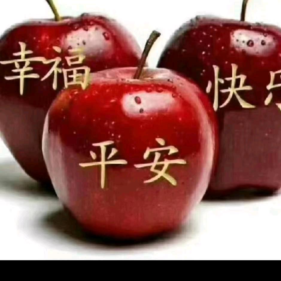 鱼鱼头像