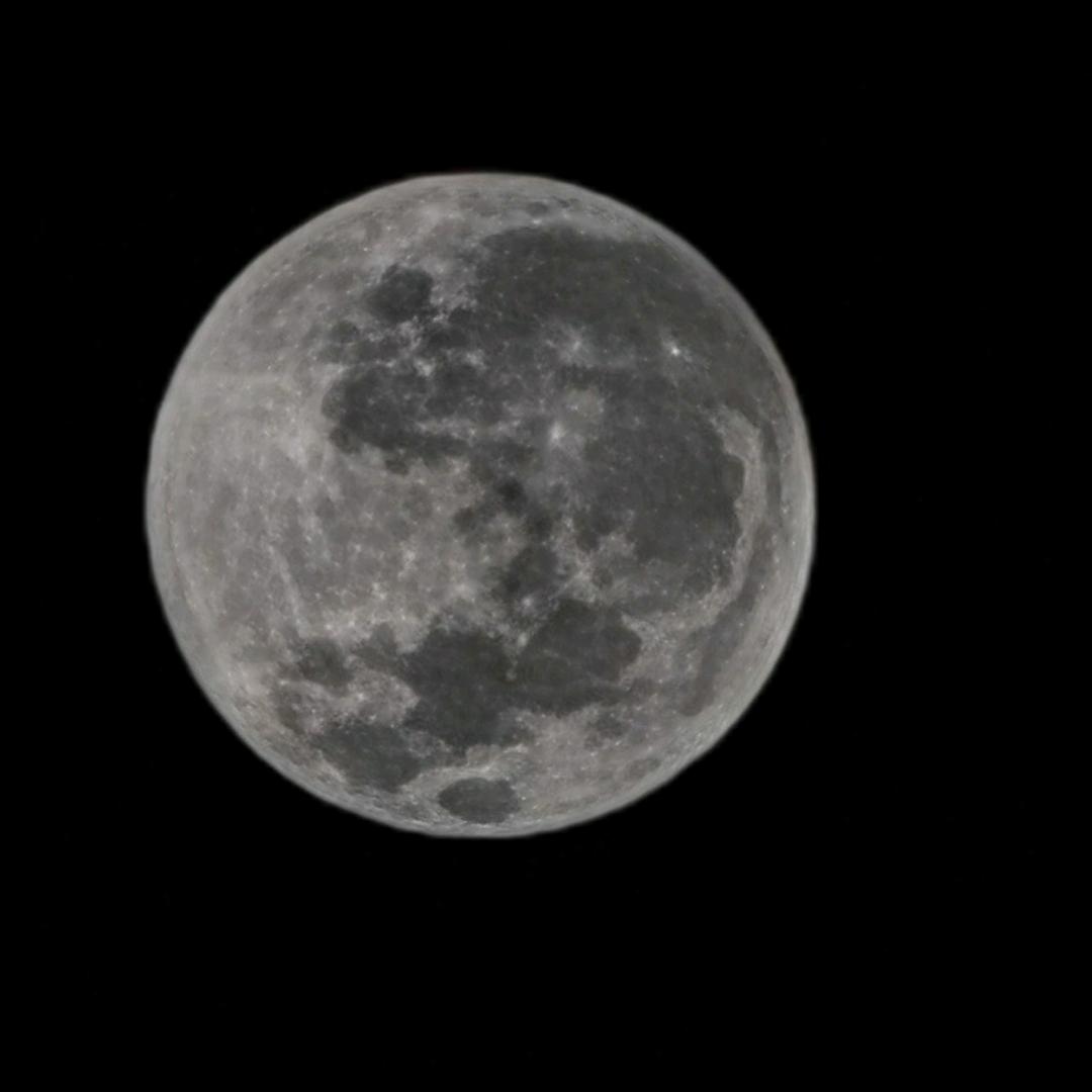 爱打乒乓的主包