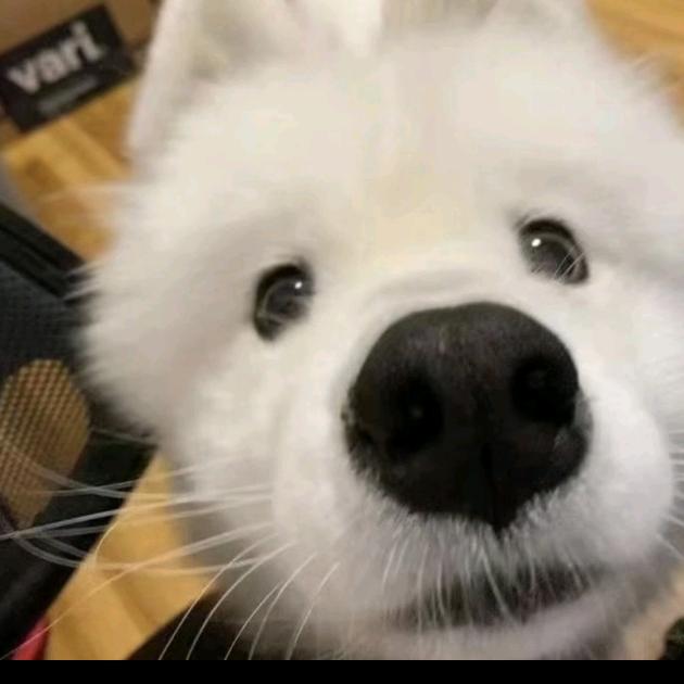 七号同学