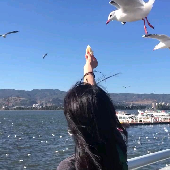 天天没烦恼