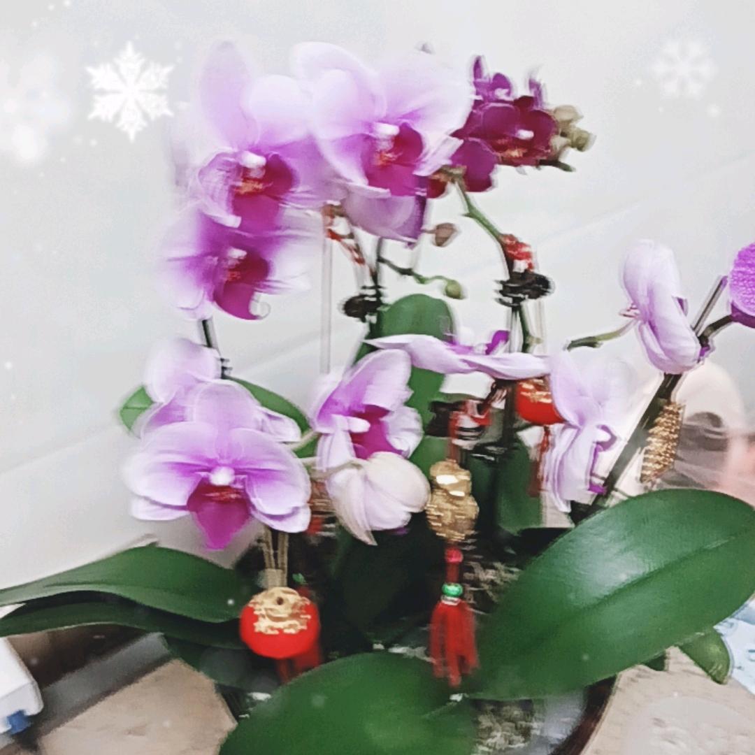乾坤