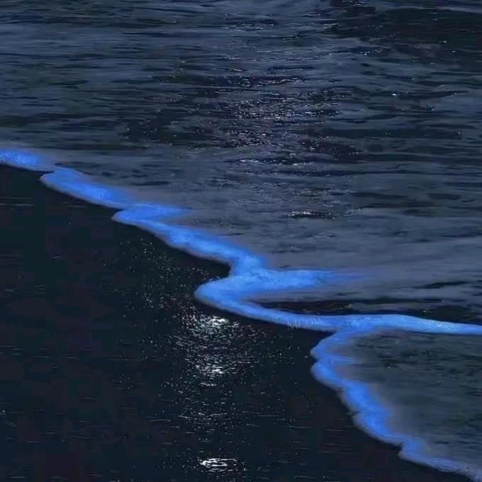 卡yy