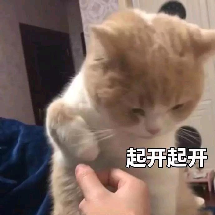 霸王龙