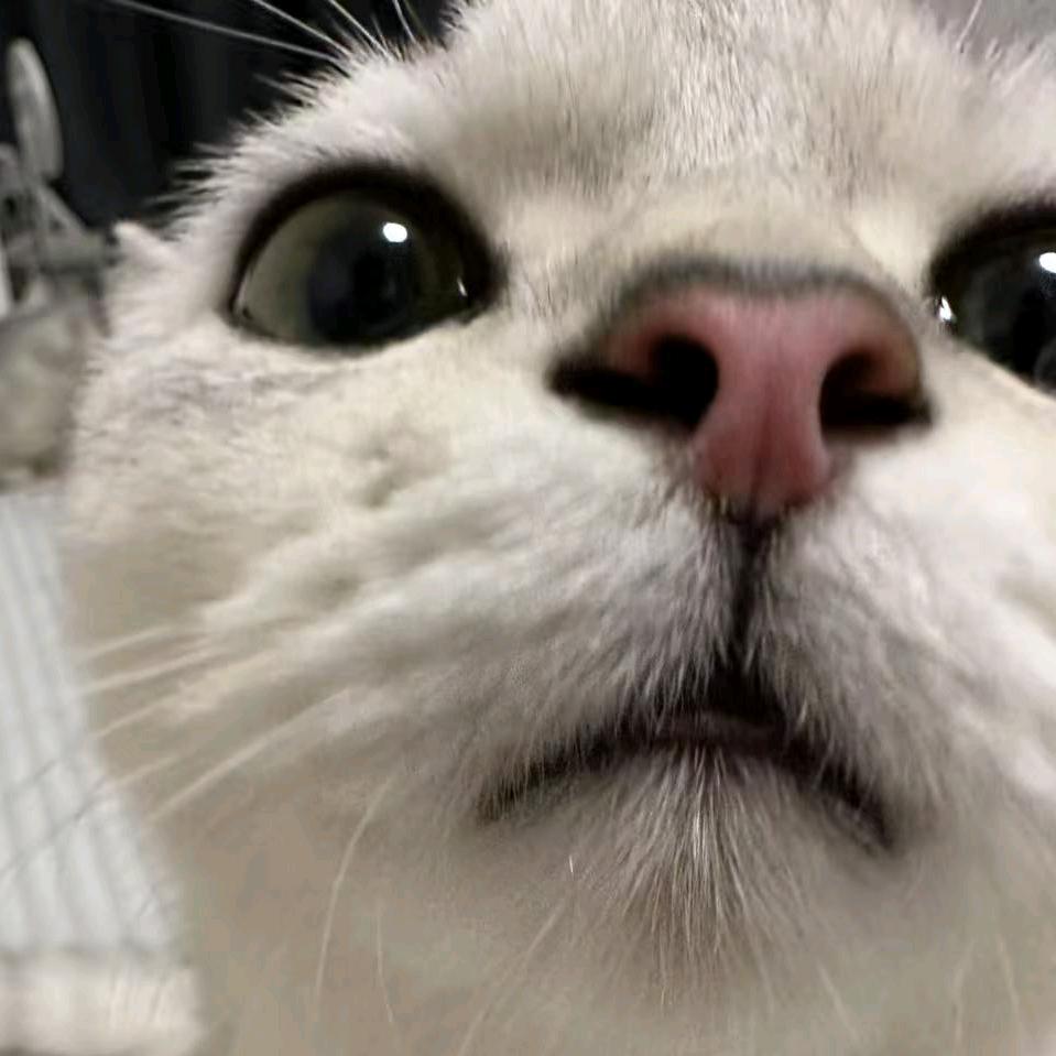 出来吃饭啊！⭐陈兴冉⭐