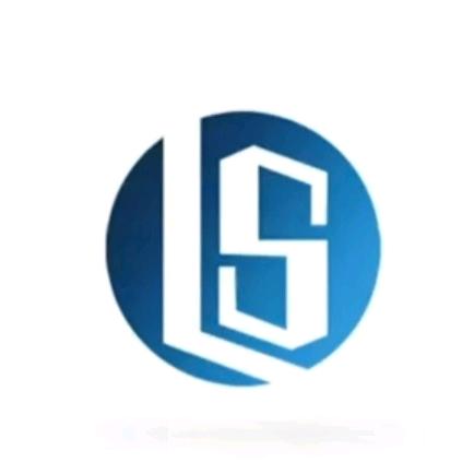 木作小王【盛森】团队