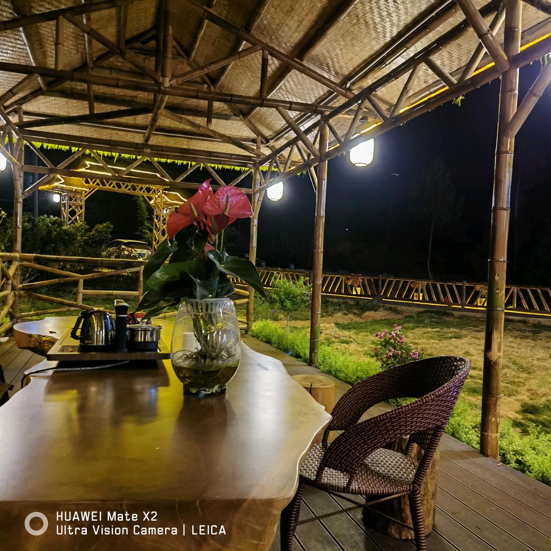 望乡竹韵欢迎你！