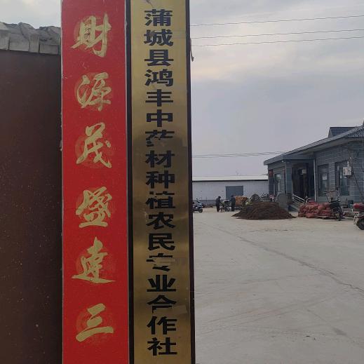 蒲城县九隆塬种植家庭农场（个人独资企业）