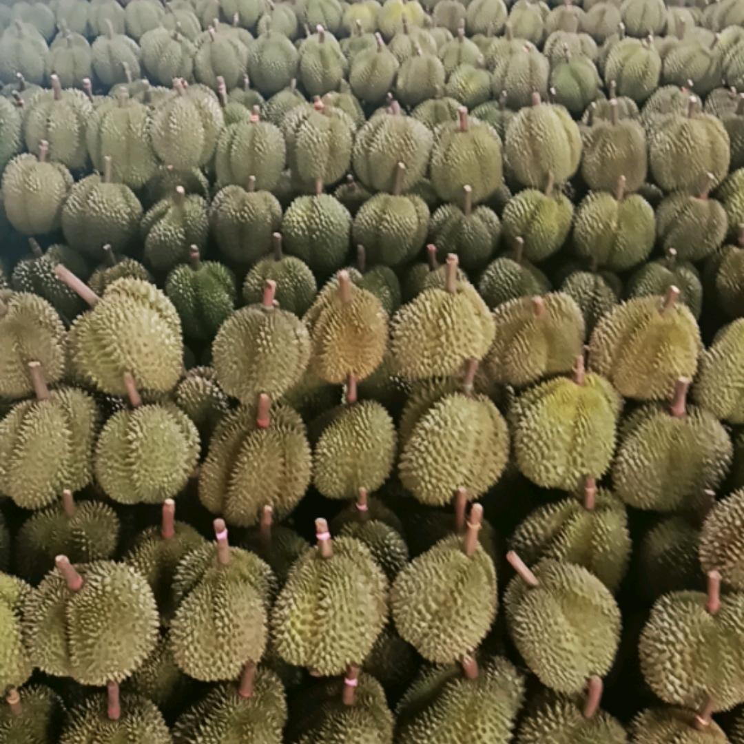 高碑店果在行果业