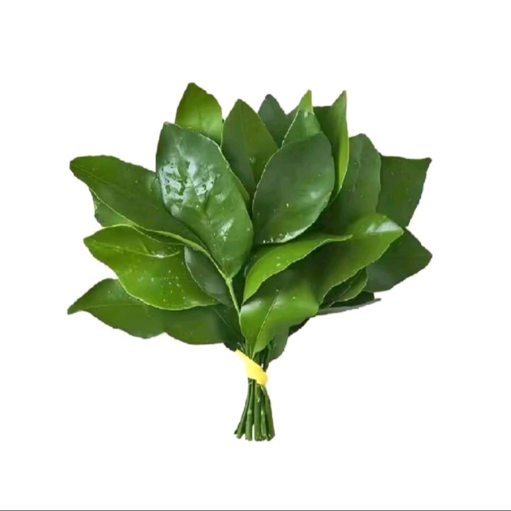 鸢Yi