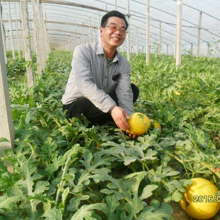 定陶区西瓜协会技术服务