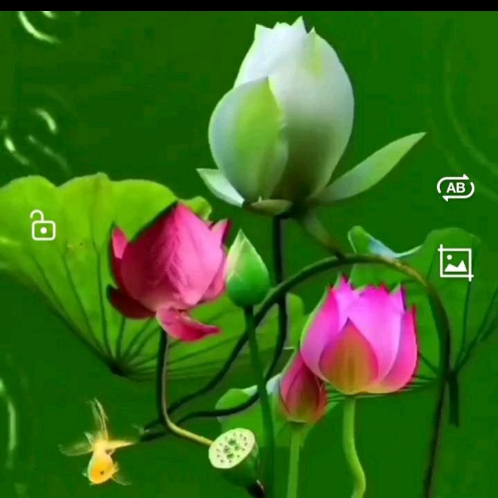 过去的过去，重新再来