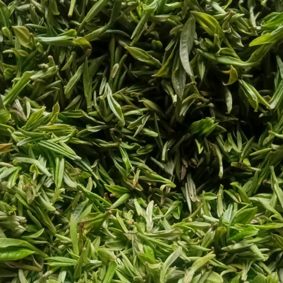 @心想事成 ⛹️‍♂️