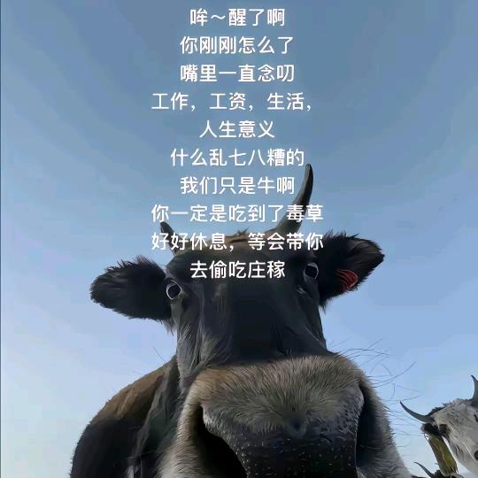 未曾见过倒悬山