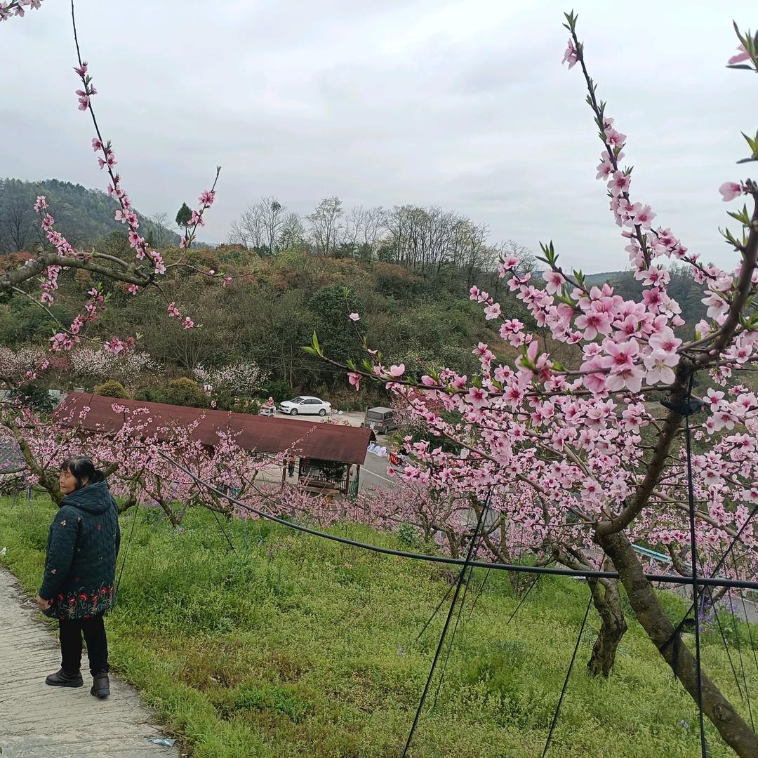 六个亲孙的奶奶😘