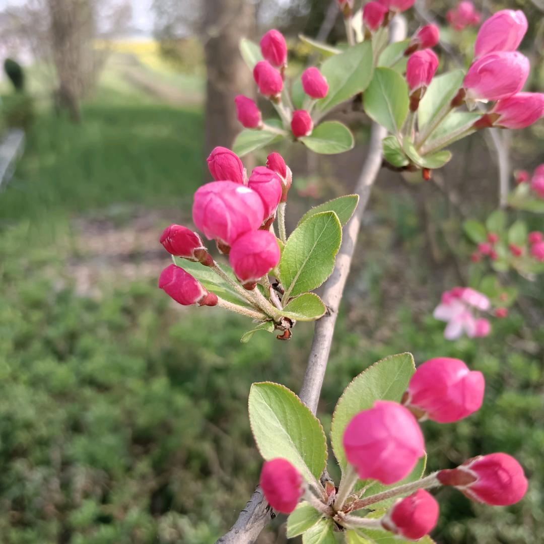 开心最重要🌻🌻🌻