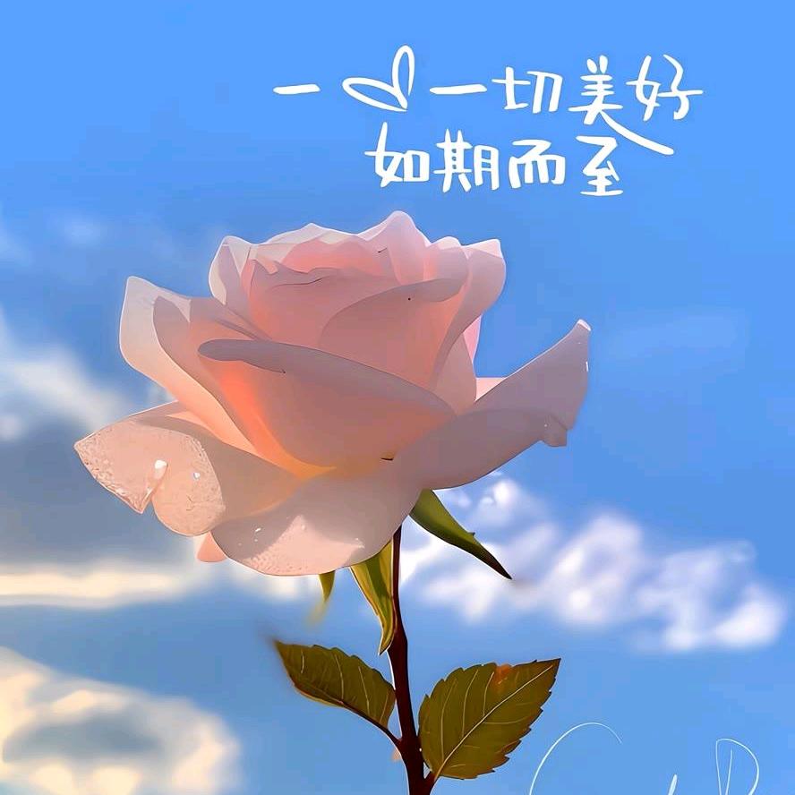 (ღ˘⌣˘ღ)芳