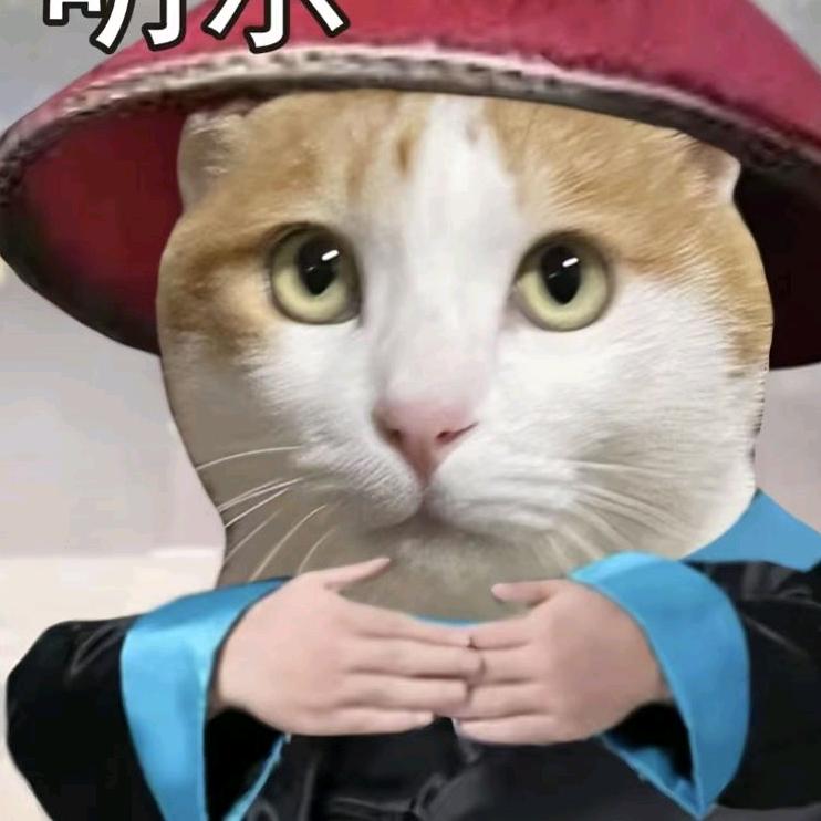 飞一