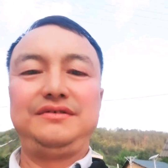 朱大雅