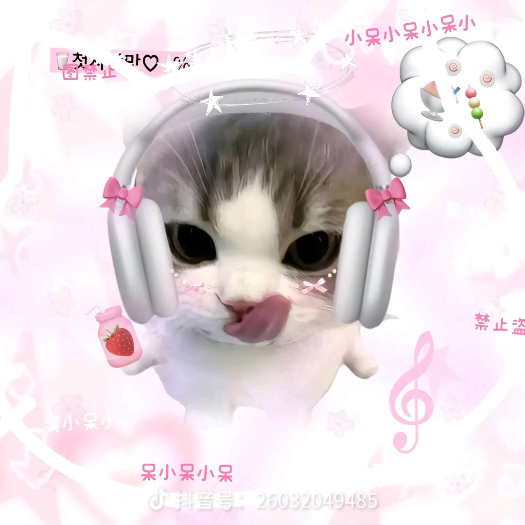 可爱小猫四头像