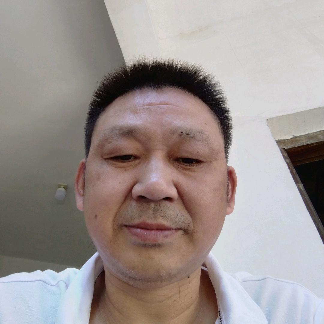 老楊