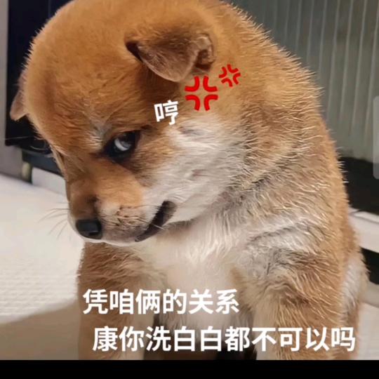 一生奋斗