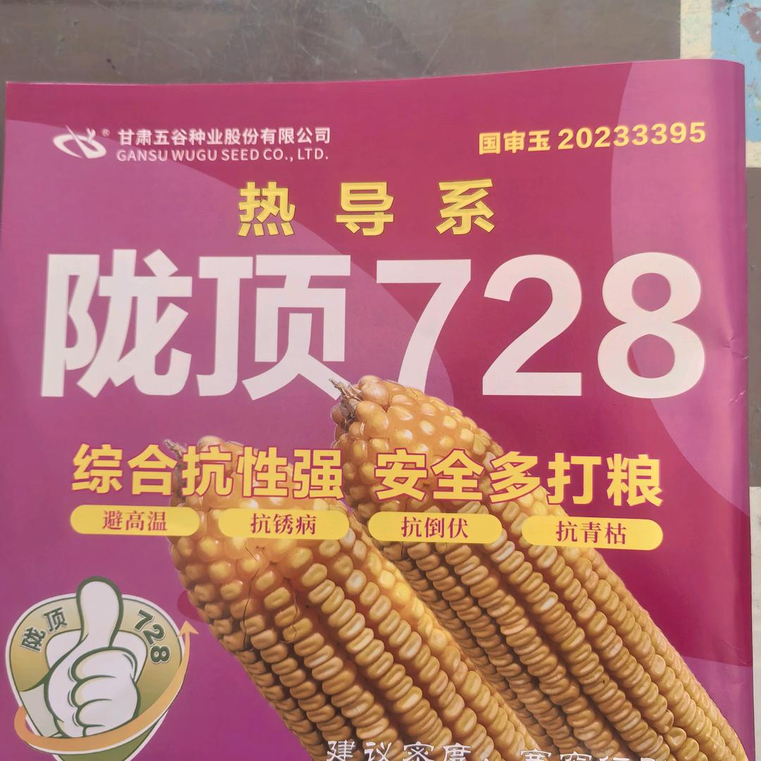 仁风泉星农资许平修