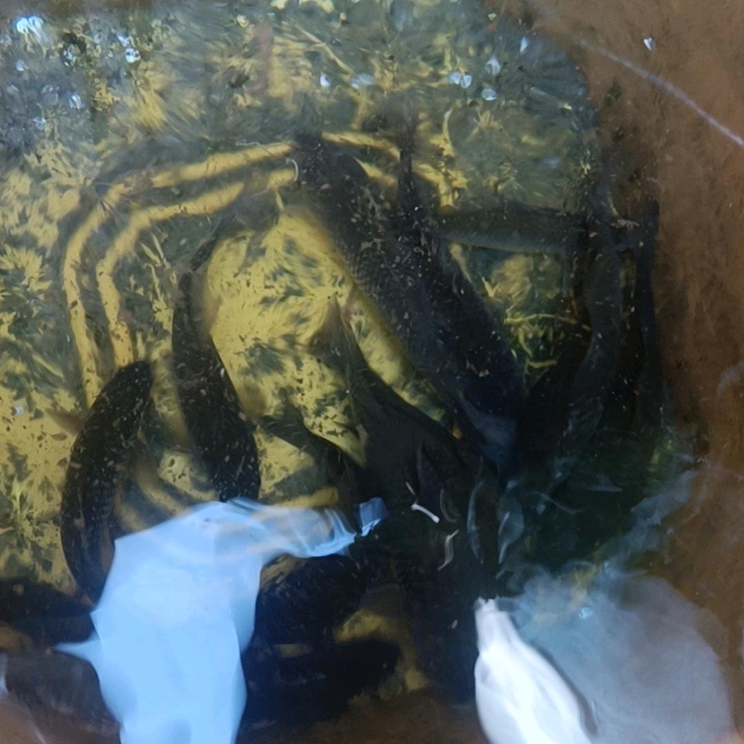 万客隆（朱集店）