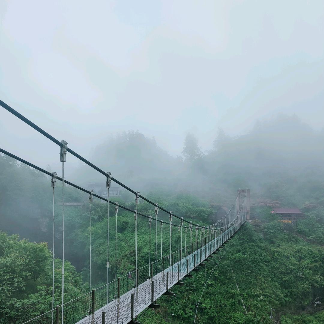 小张的臻选