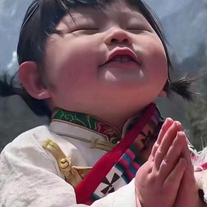 空空如也