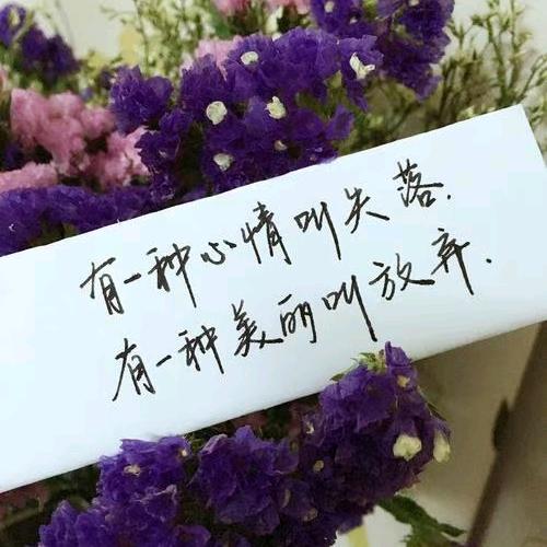 哥不帅，哥很坏！