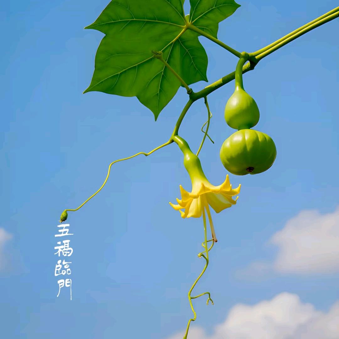 好起来呀