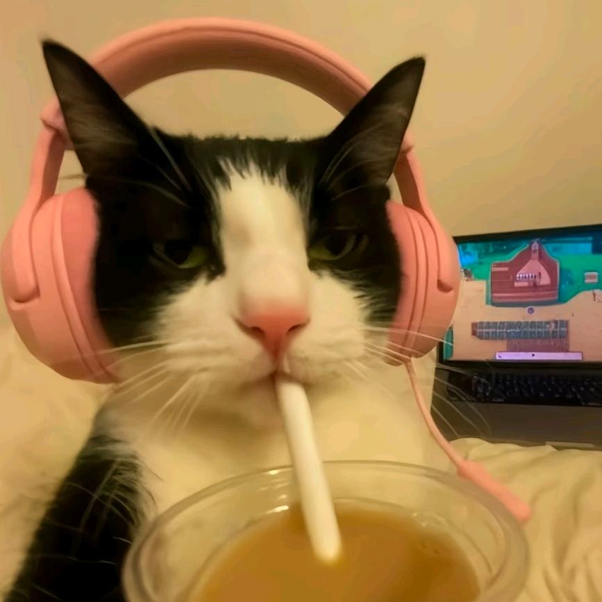 挽挽ʕ ᵔᴥᵔ ʔ