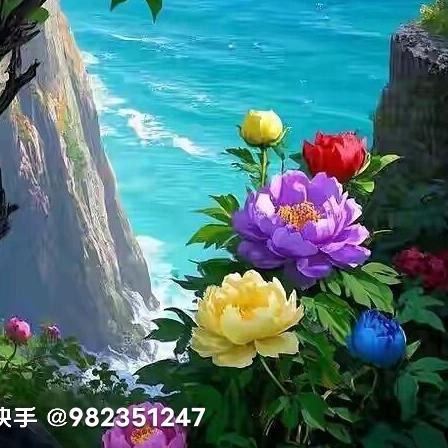 谭立红