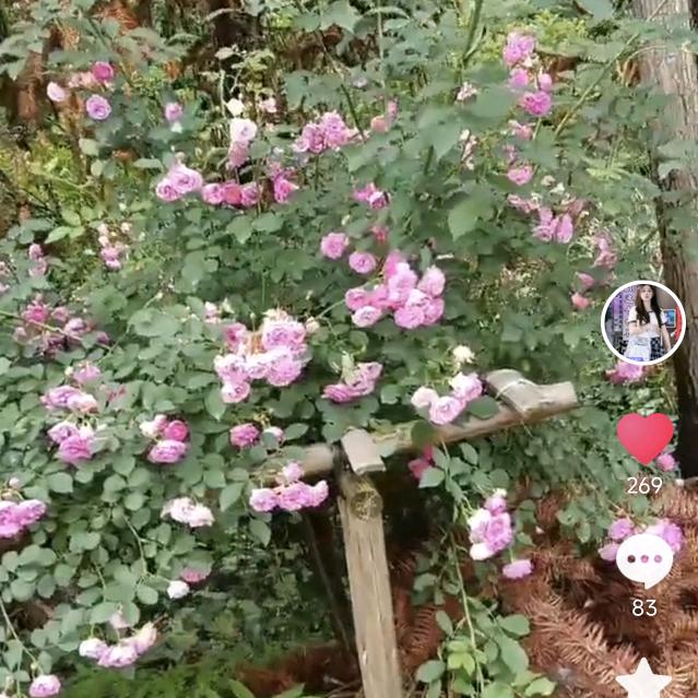 愿余生有你🍤⁵²⁵