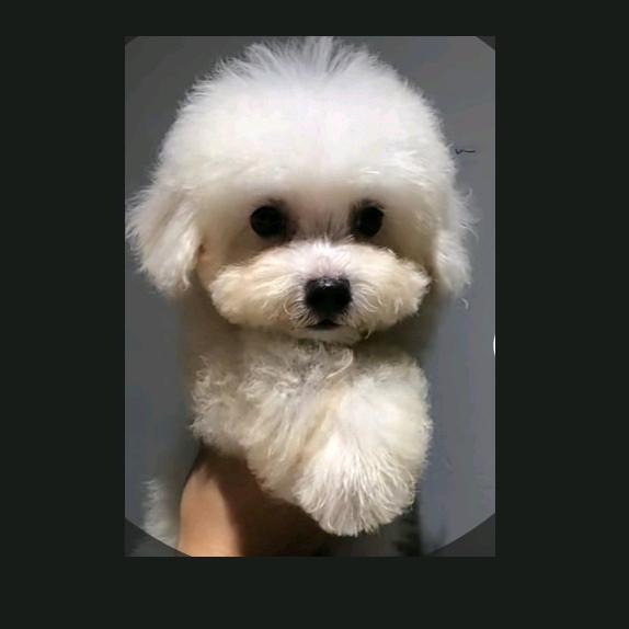 奶💕茶💕呐💕