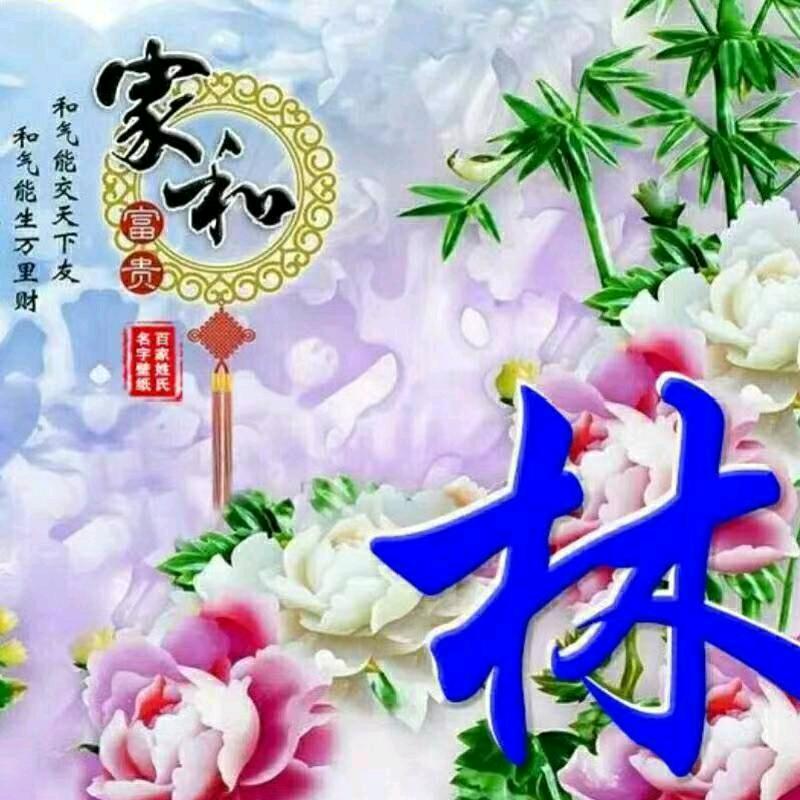 心如止水17793柯玲