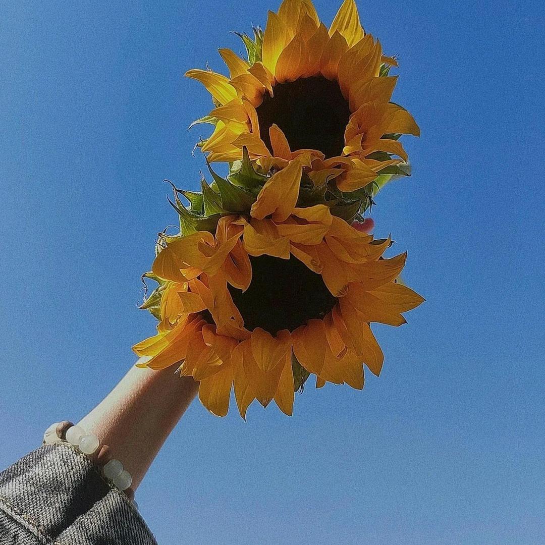 开始懂了！！！