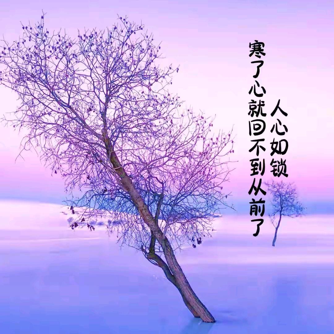 墨尘*惜辞