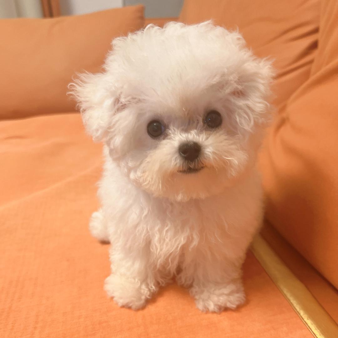 王多乐的每一天