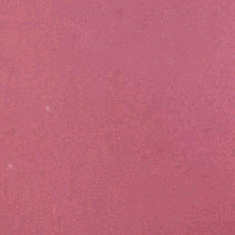 铃铃子（与辉同行）