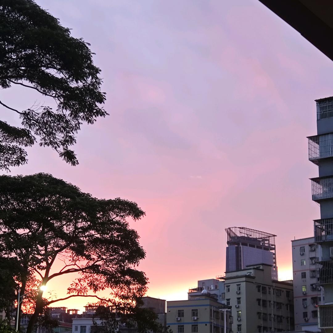 麻球球