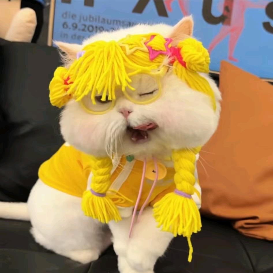 仙气七七