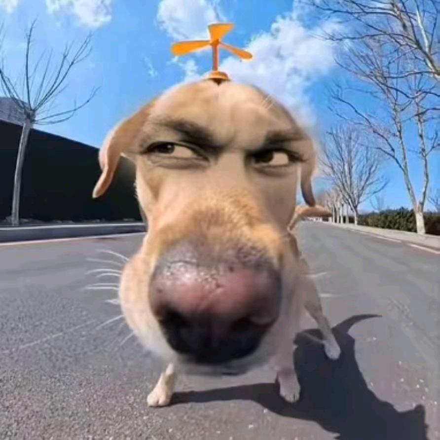 未来✔️