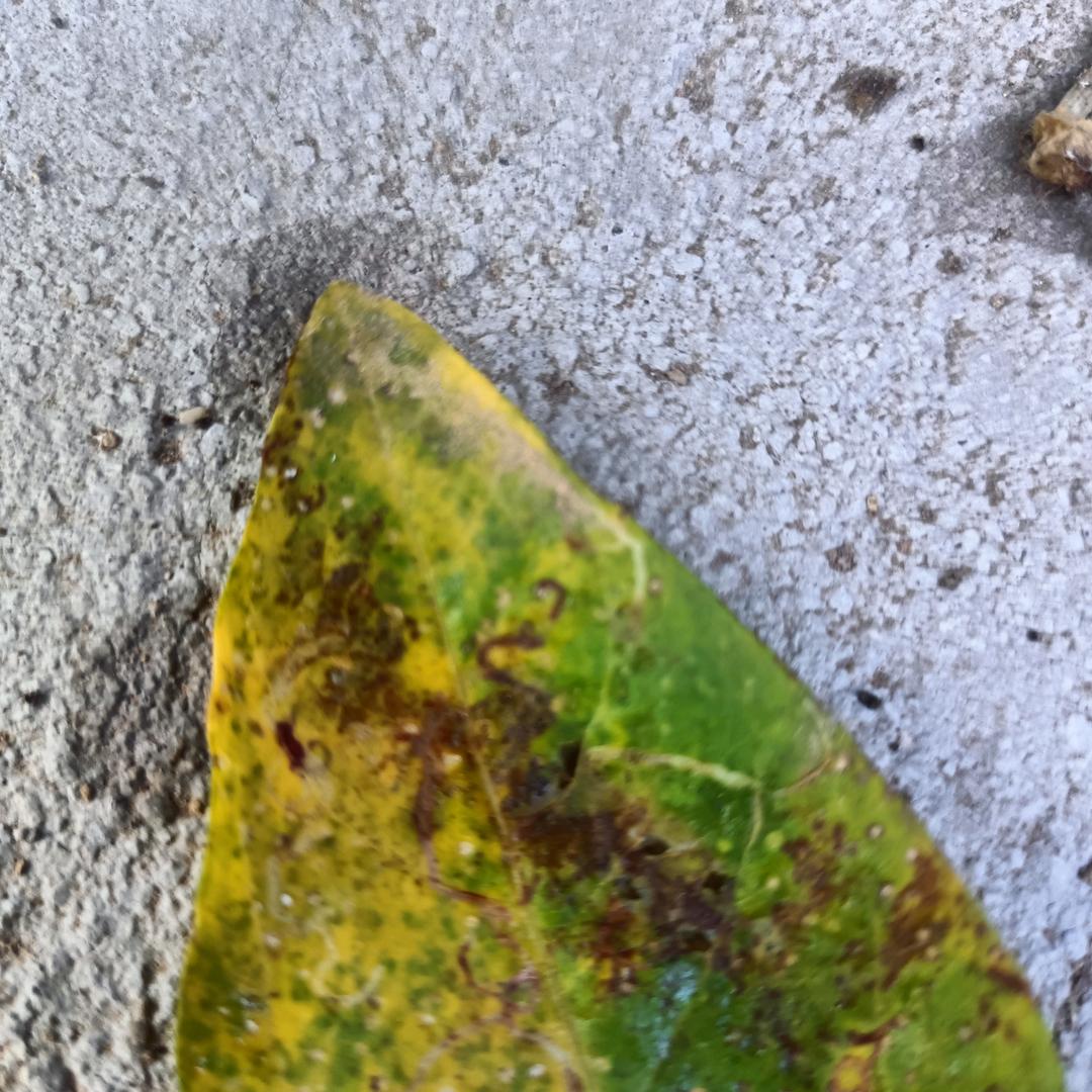 用户不私聊