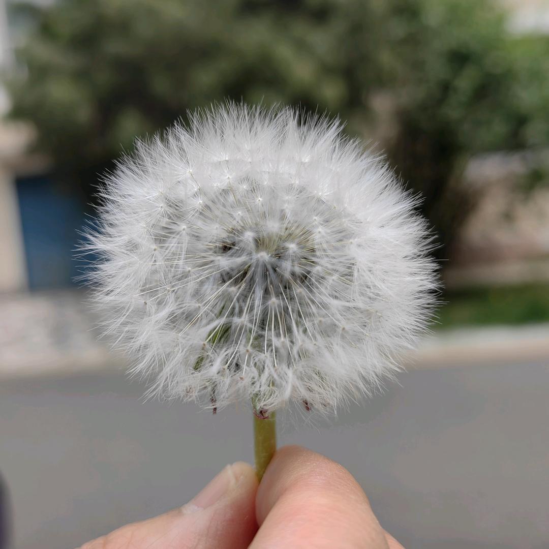 健康知识有问必答
