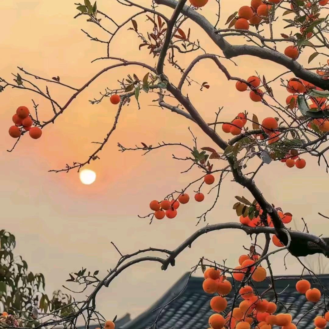 为了生活在外漂泊