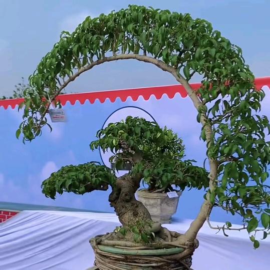 芳盛果蔬园艺园