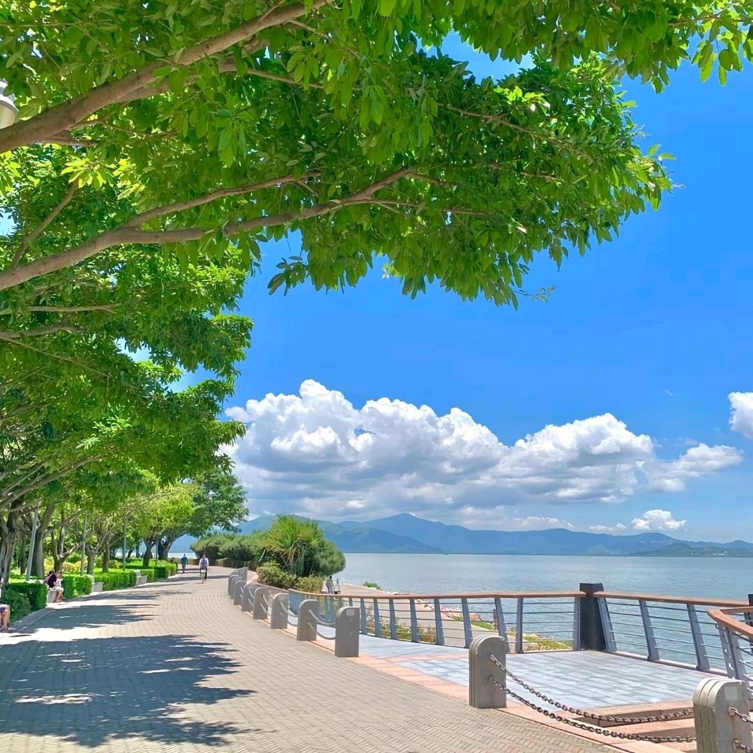 大鱼海棠里的鱼