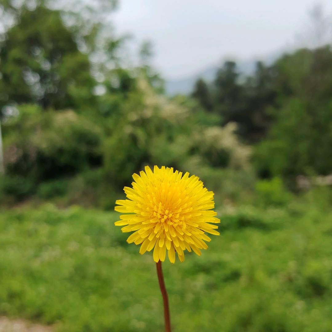 美好人生！只因有你！